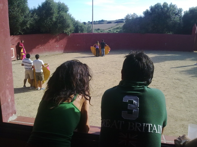 Observando a los valientes en el coso